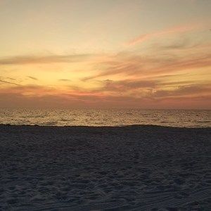 Meet your Posher, Edith